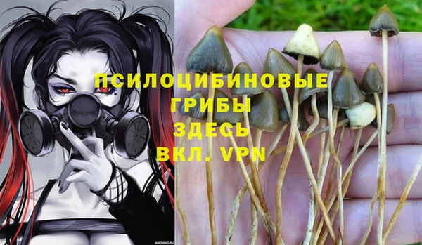 мдма Тавда