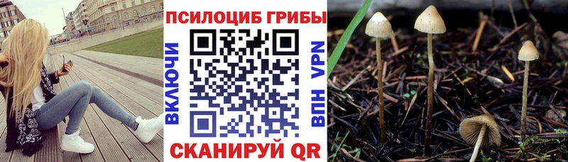 Галлюциногенные грибы мухоморы  купить наркотик  Верхнеуральск 